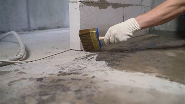 Top rated local Waterproofing specialists in Whitesburg, TN